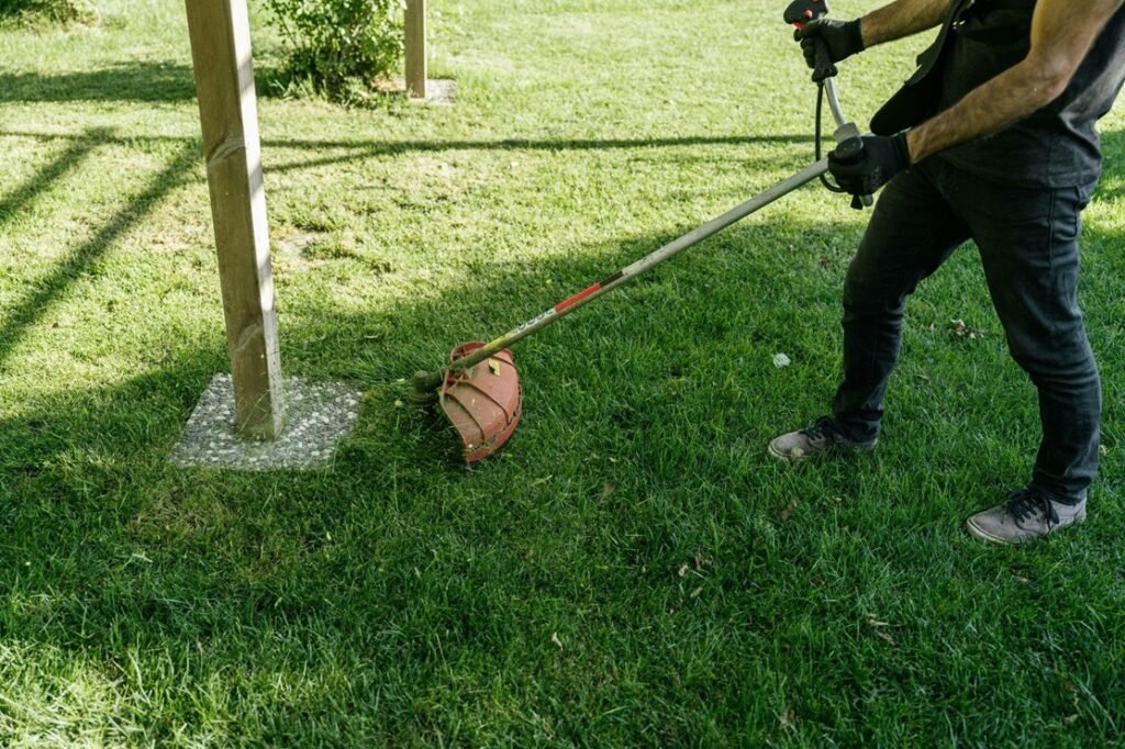 Reputation and Perception Suffer