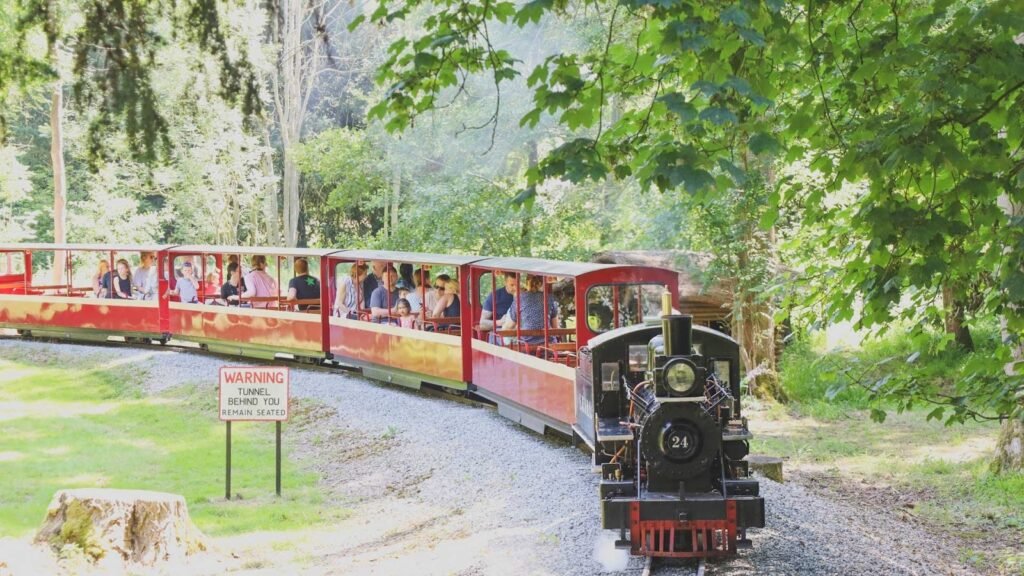 Transport and Connectivity